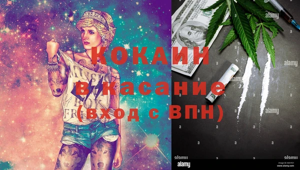 мяу мяу мука Россошь