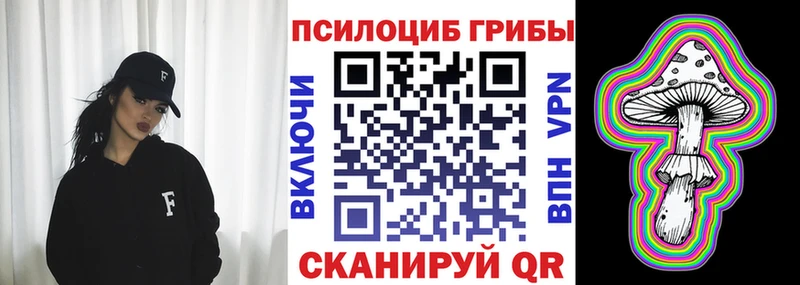 гидра ссылка Каневская Псилоцибиновые грибы Psilocybine cubensis